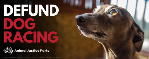 Bumper Sticker: Defund Dog Racing