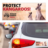 Bumper Sticker: Protect Kangaroos!