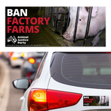 Bumper Sticker: Ban Factory Farms Pigs